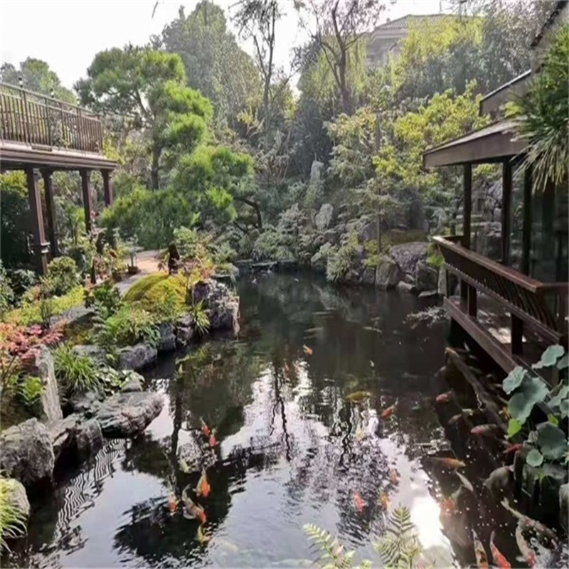 邓州假山植物小鱼池